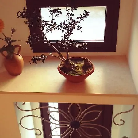 Zia Cosi * Parabita